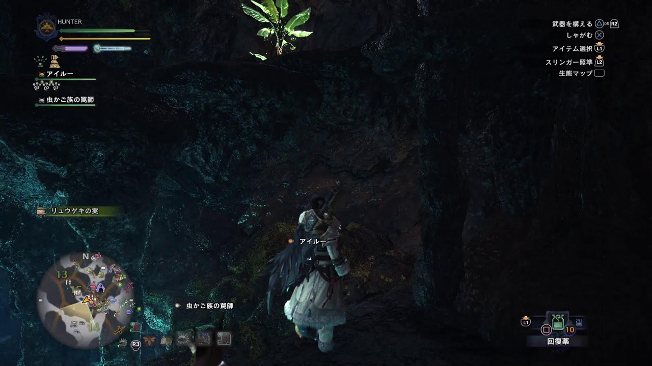 モンスターハンターアイスボーン(MHWI)をプレイ PS5版