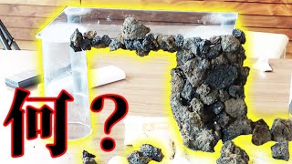 また何かを作りだした！何を作ってる？
