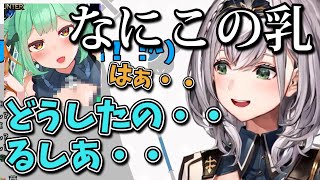 【どうしたるしあ】るしあの偽パイを見つけてしまい嘆く団長【白銀ノエル/ホロライブ切り抜き】