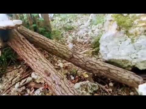 #hiking