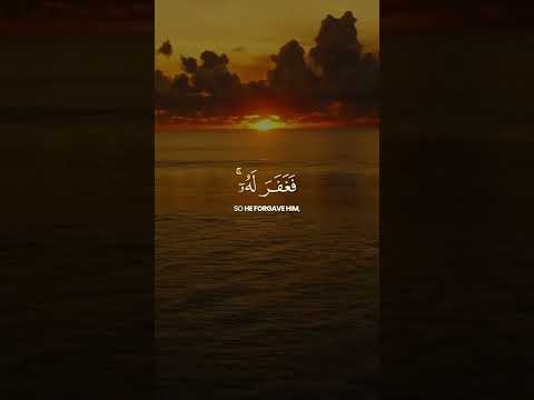 سورة القصص قرآن كريم حالات واتس اب دينية 