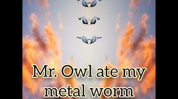 WHAT IS A PALINDROME?