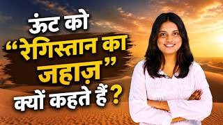 Camel Facts 🐪 | How Camel Survives Without Water? | Amazing Desert Animal