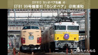 【EF81】カシオペア色その4　EF81 99号機牽引カシオペア＠南浦和  (2009年)