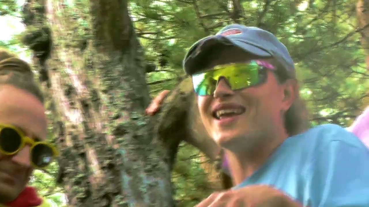 YouTube player