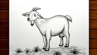 Goat Drawing || How to Draw Goat Step by Step for Beginners || Goat Drawing with Pencil Sketch..