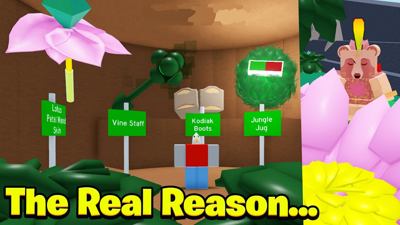 Why Onett Doesn't Release Bee Zones/New Gear Anymore.. (The Real Reason) (Bee Swarm Simulator)