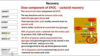 Epoc - Slow Component