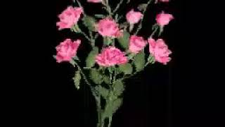 Rose Whatsapp Animated Gif