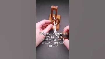 راغب مصطفى غلوش سورة البلد ( أَلَمۡ نَجۡعَل لَّهُۥ عَيۡنَيۡنِ (8) وَلِسَانٗا وَشَفَتَيۡنِ (9)