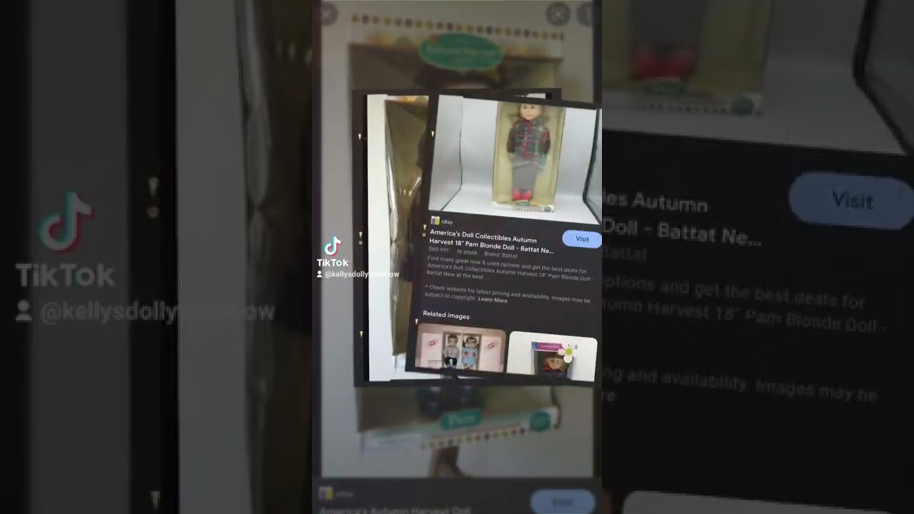 Autumn Harvest doll by battat similar to our generation dolls