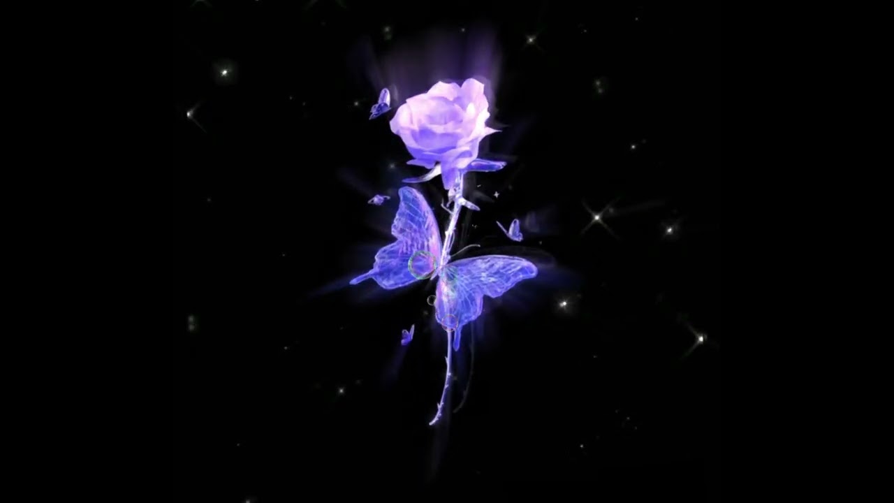 紫菜餅CV.Alone - Want your love ft. Reziii_g (Official Audio)