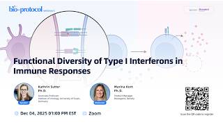 Functional Diversity of Type I Interferons in Immune Responses