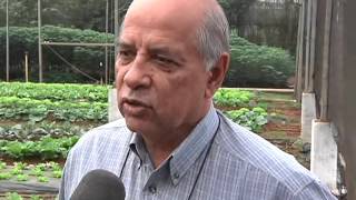Produção de horta - 20/11/2015 screenshot 2