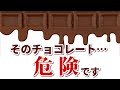 カカオ効果が台無し⁉チョコレートに使われる残念な添加物とおすすめの無添加チョコレート｜無添加生活（Additivefreelife）