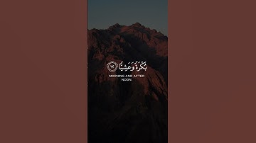 مقنطف من تراويح ١٤٤٥هـ || القارئ عثمان مشعل الحداد