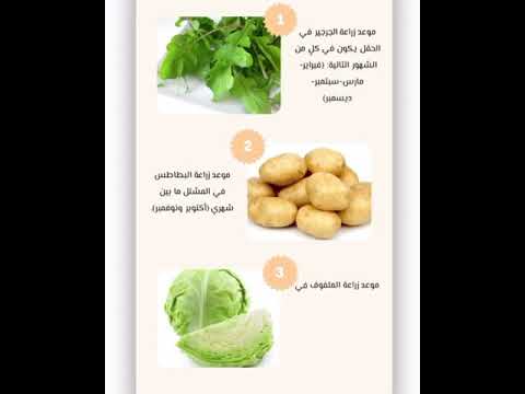 يوم البيئة العربي