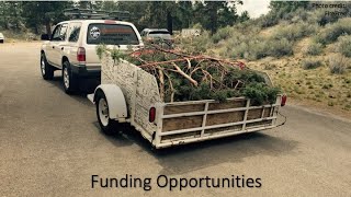 Funding Opportunities in Oregon for Wildfire Defensible Space and Fuel Mitigation