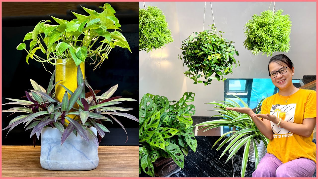 Советы по бюджетному декорированию дома. Умные способы переработки пластиковых бутылок в кашпо