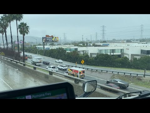 ლოს-ანჯელესი. ,,იკბინება\"