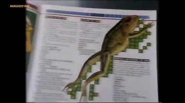 INPUT MAGAZINE TV ADVERT  1980