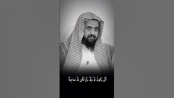وَجَعَلوا لِلَّهِ شُرَكاءَ الجِنَّ وَخَلَقَهُم ، القارئ وليد السعيدان