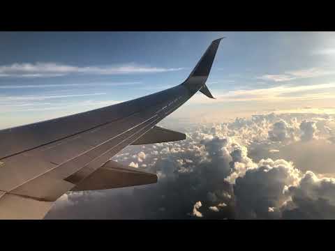 생각없이 듣는 힙합 롤 할때 듣는 힙합 Hip hop that I listen to when I play LOL