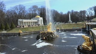 Петергоф - В гости к Самсону.