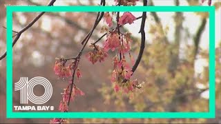 How our changing climate is impacting your health
