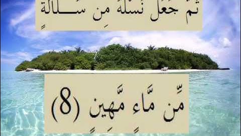 القران الكريم سورة السجدة الأية 8.wmv