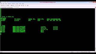 extendvg command