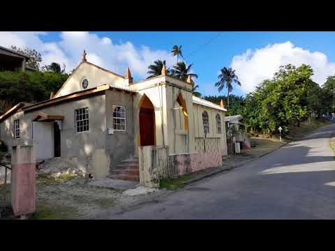 Climbing Mount Hillaby In St. Andrew Barbados🇧🇧