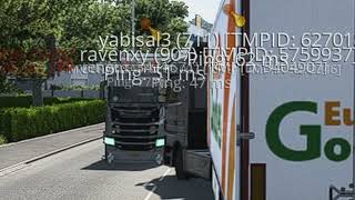 [#1063] BAD Driver | Learn how to CONTROL your truck properly! ➡️ BANNED! | ETS2 TruckersMP