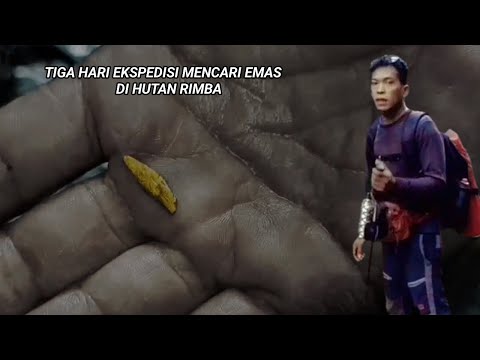 ALUR CERITA EKSPEDISI MENCARI EMAS DI HUTAN BELANTARA