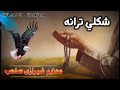 اواز محترم شیرازی صاحب شیرازی صاحب شکلی ترانه Sherazi Pashto Nazam مولوی محمد شیرازی 