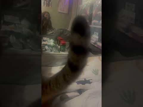在這📽️里🕳️，我們🧥要做真❤️正⬆️的自己～🧚‍♀️🧚🧚🏿‍♂️5️⃣
