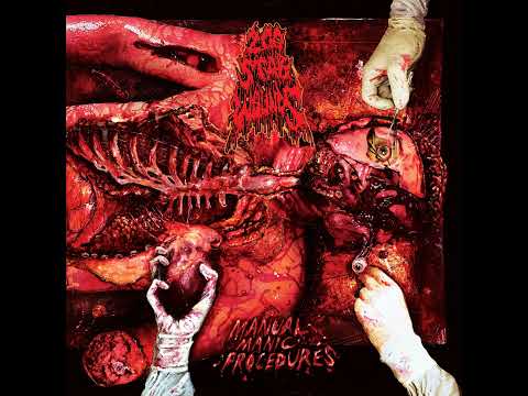 200 Stab Wounds - Defiled Gestation