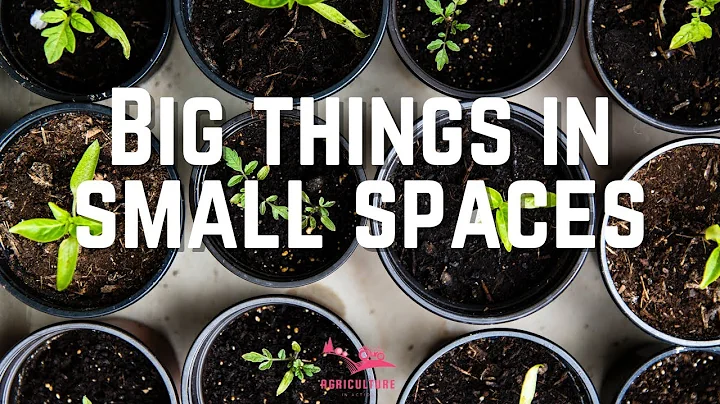 Big Things In Small Places With Master Gardener: E...