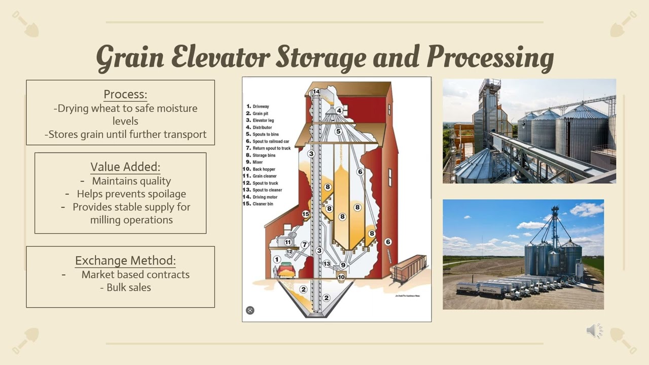 FARE1400- From Farm to Fork: The Supply Chain of Wheat