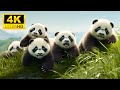 Baby Animals 4K (60FPS) - The Comedic Charms Of Mischievous Baby Animals With Relaxing Music