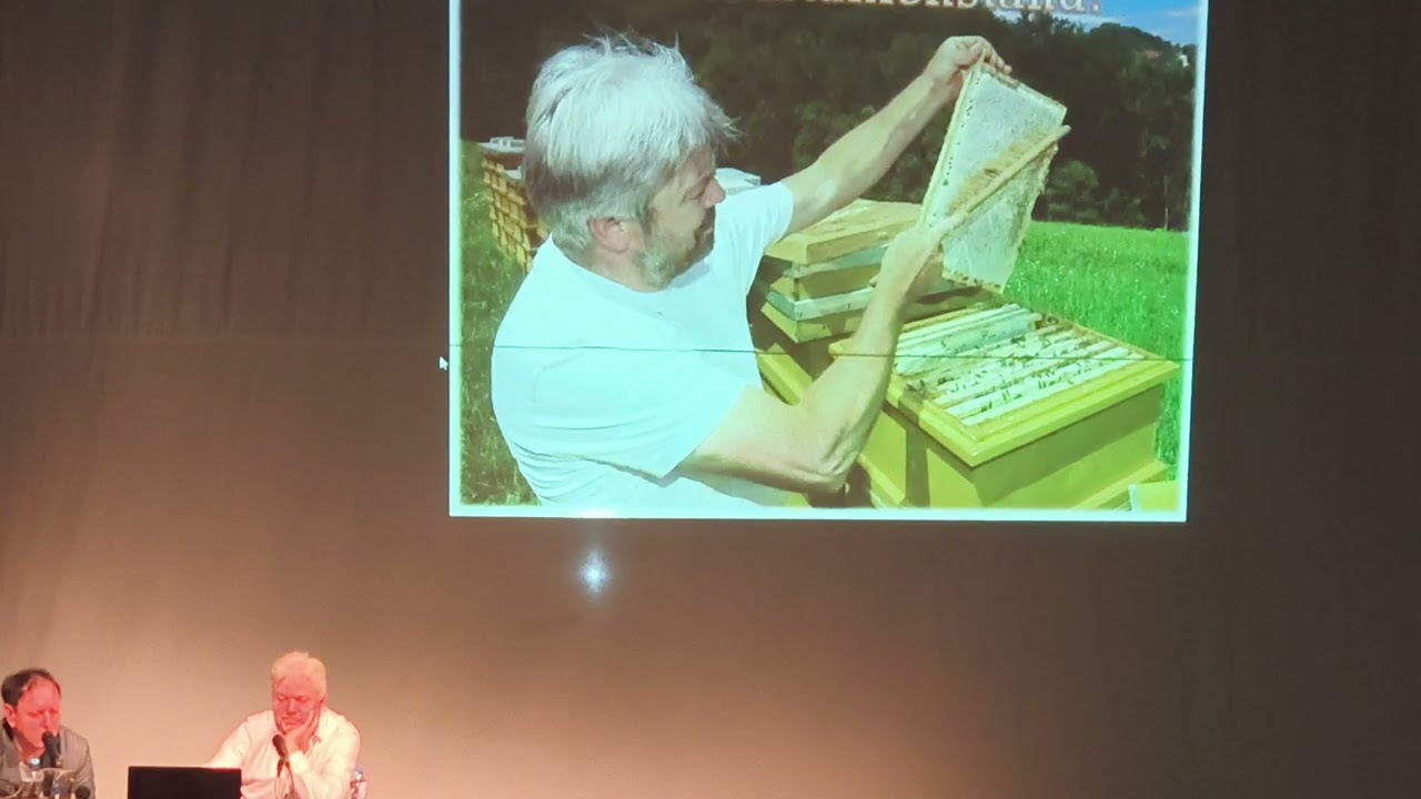 Аnton Rebernik Lazarevac 