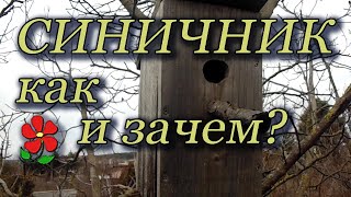 Домики для птиц - синичники.