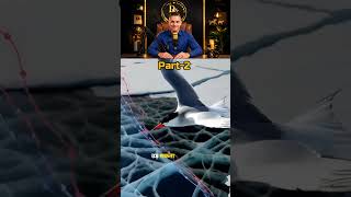 🐦🌍 part-2: longest flying bird secrets 😱✈️ epic migration journey #facts