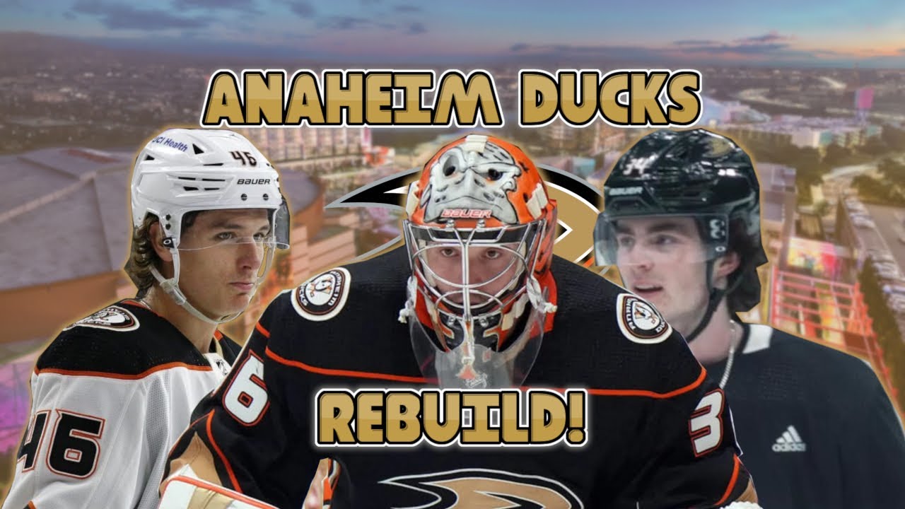 How to fix the Anaheim Ducks