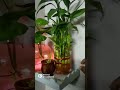 Glass art