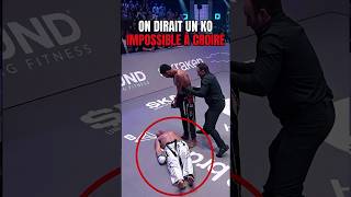 Ce Ko A Lair Tellement Insensé Quil En Paraît Physiquement Impossible