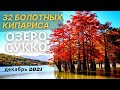 Кипарисовое озеро Сукко - Анапа / Зима 2021