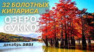 Кипарисовое озеро Сукко - Анапа / Зима 2021