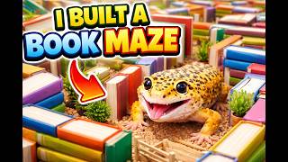 Leopard gecko maze