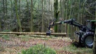 Kotschenreuther Forst.avi